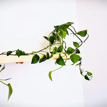 Loft Con Terrazzo Panoramico - Centro Storico Stazione A 2' Apartment *