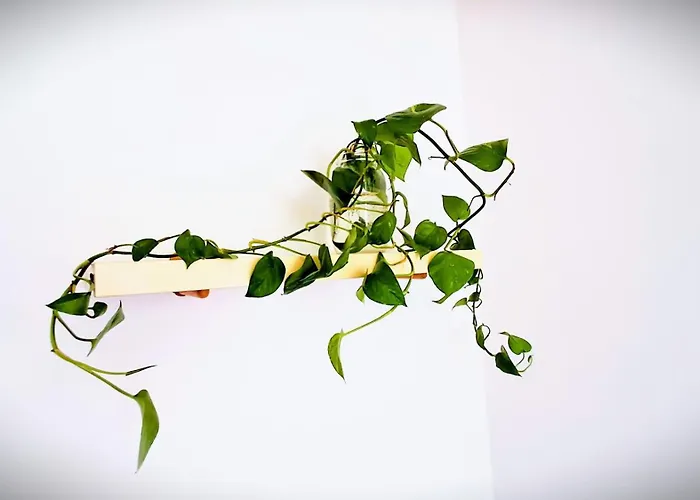 Loft Con Terrazzo Panoramico - Centro Storico Stazione A 2' Apartamento *